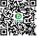草美女大学生小说
